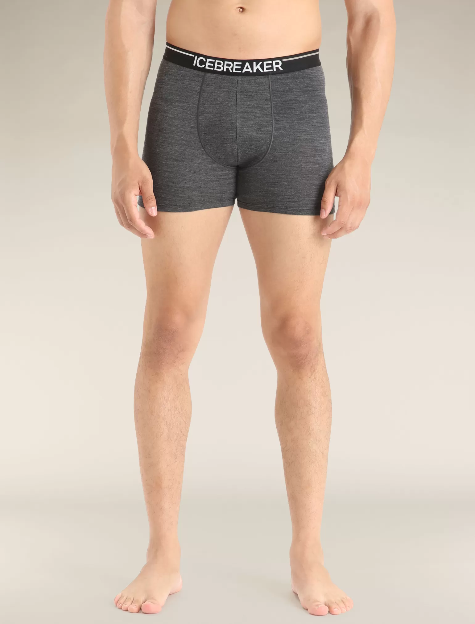 Icebreaker Men's Merino 150 Anatomica Boxers