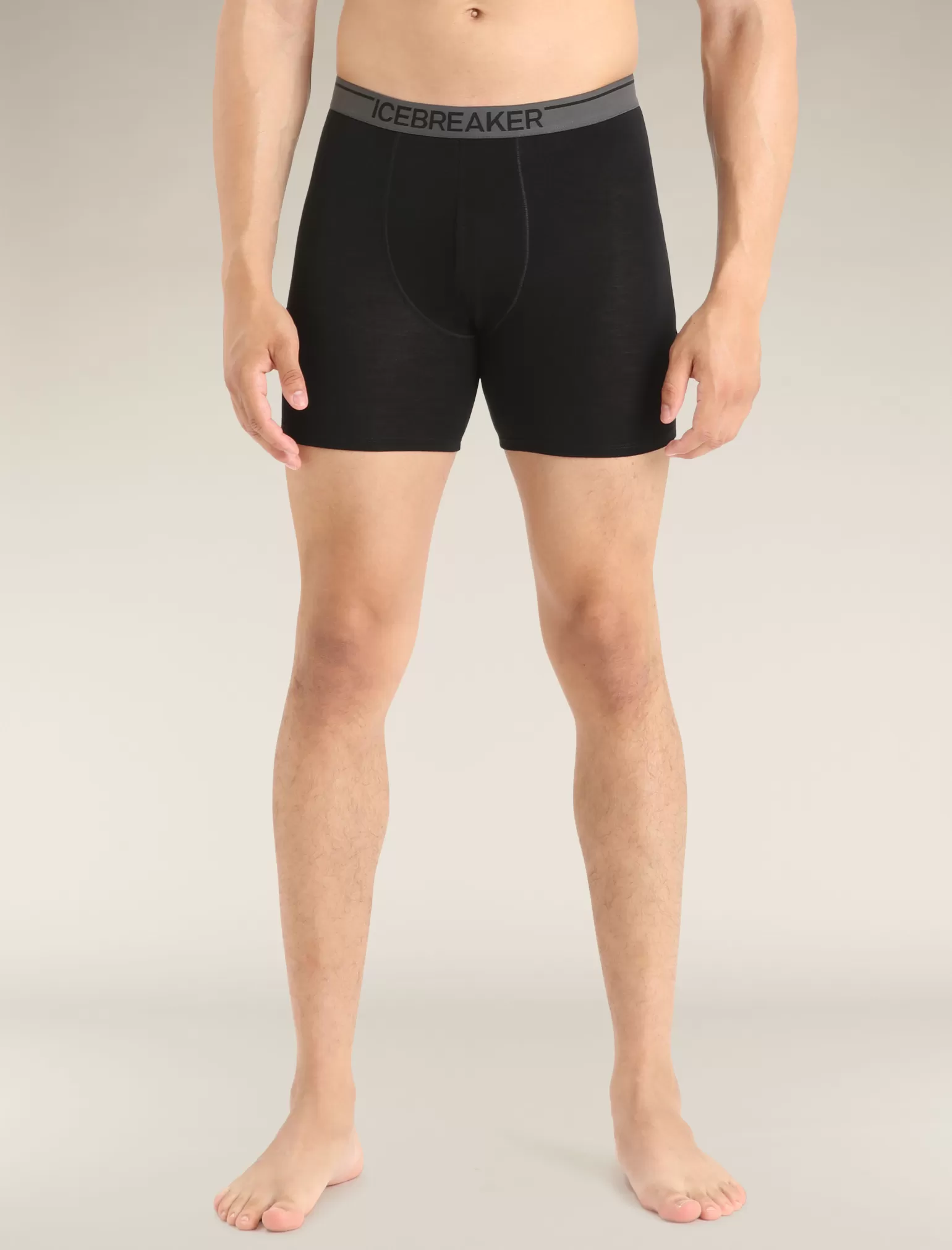 Icebreaker Men's Merino 150 Anatomica Long Boxers