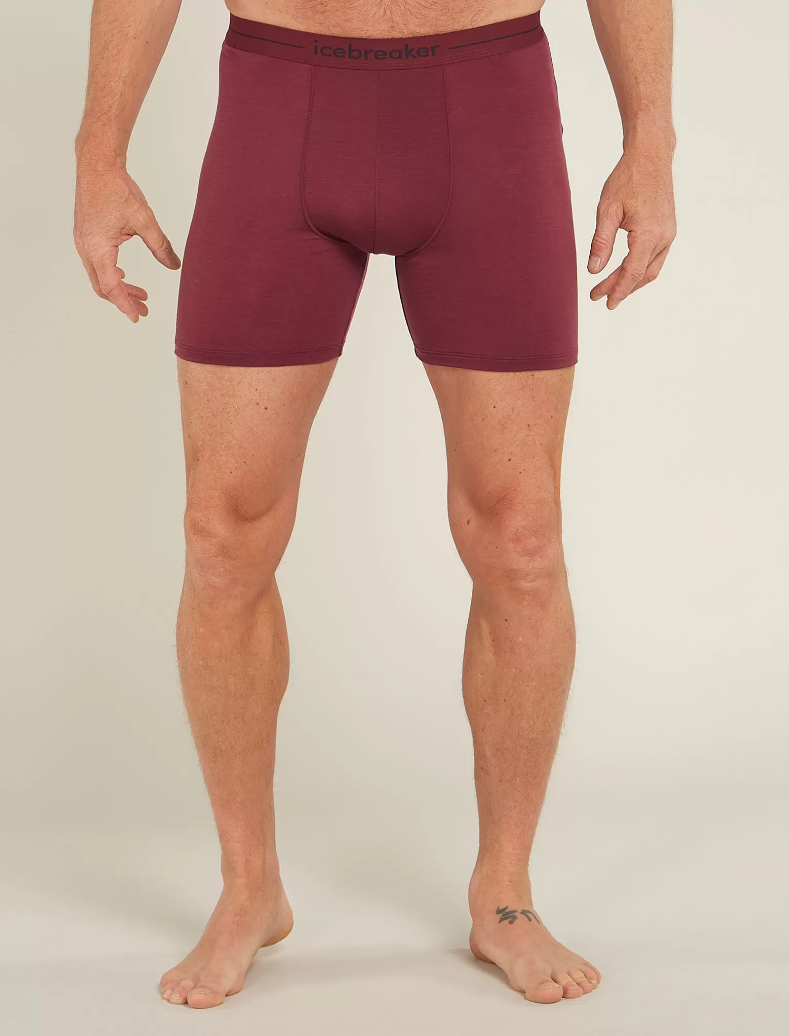 Icebreaker Men's Merino 150 Anatomica Long Boxers