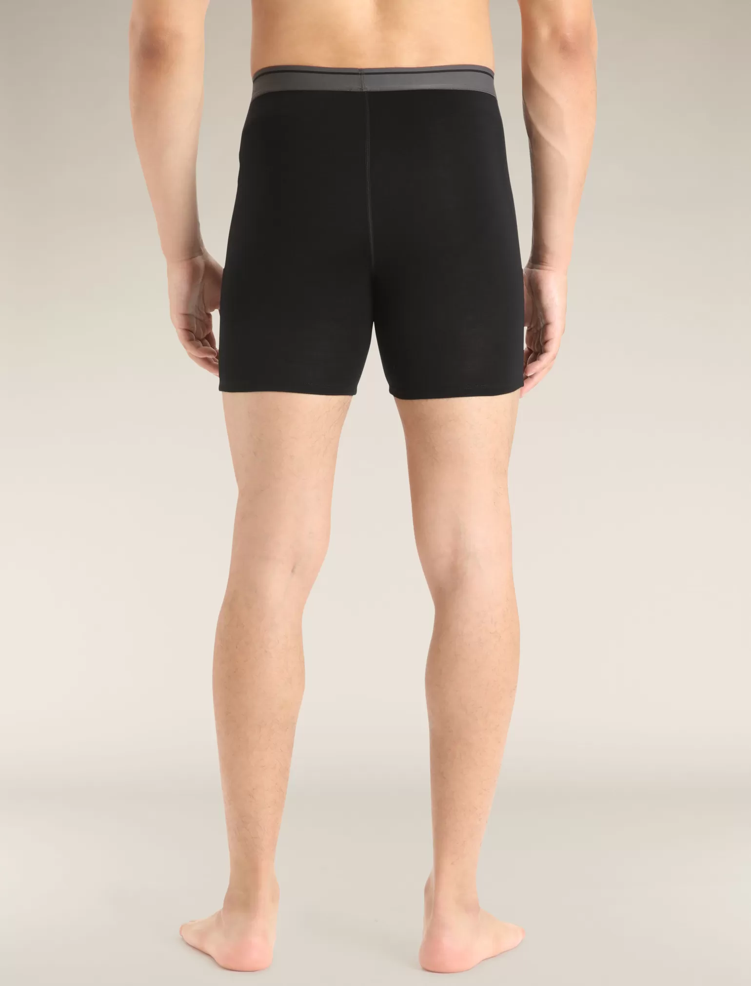 Icebreaker Men's Merino 150 Anatomica Long Boxers