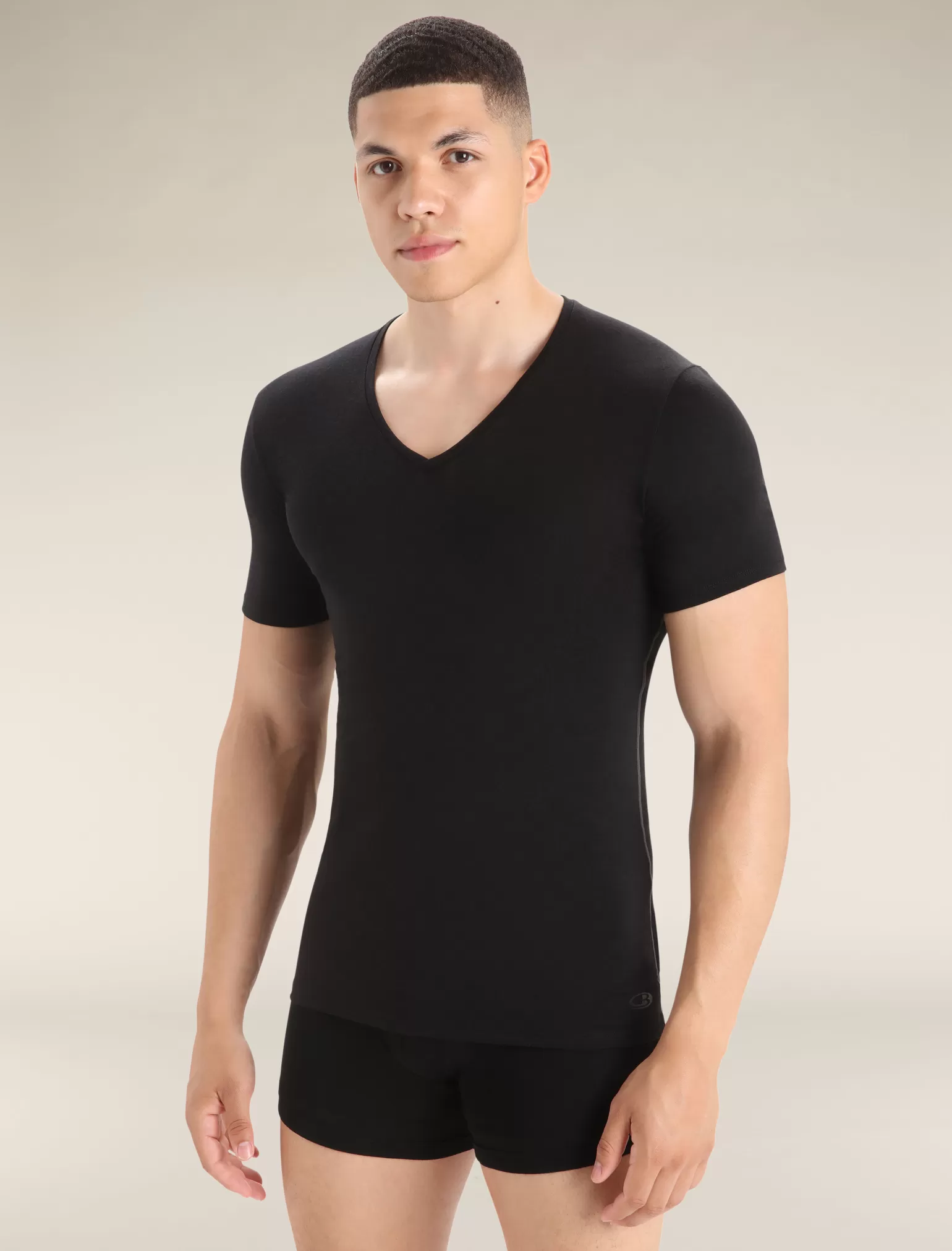 Icebreaker Men's Merino Anatomica Short Sleeve V Neck Tee