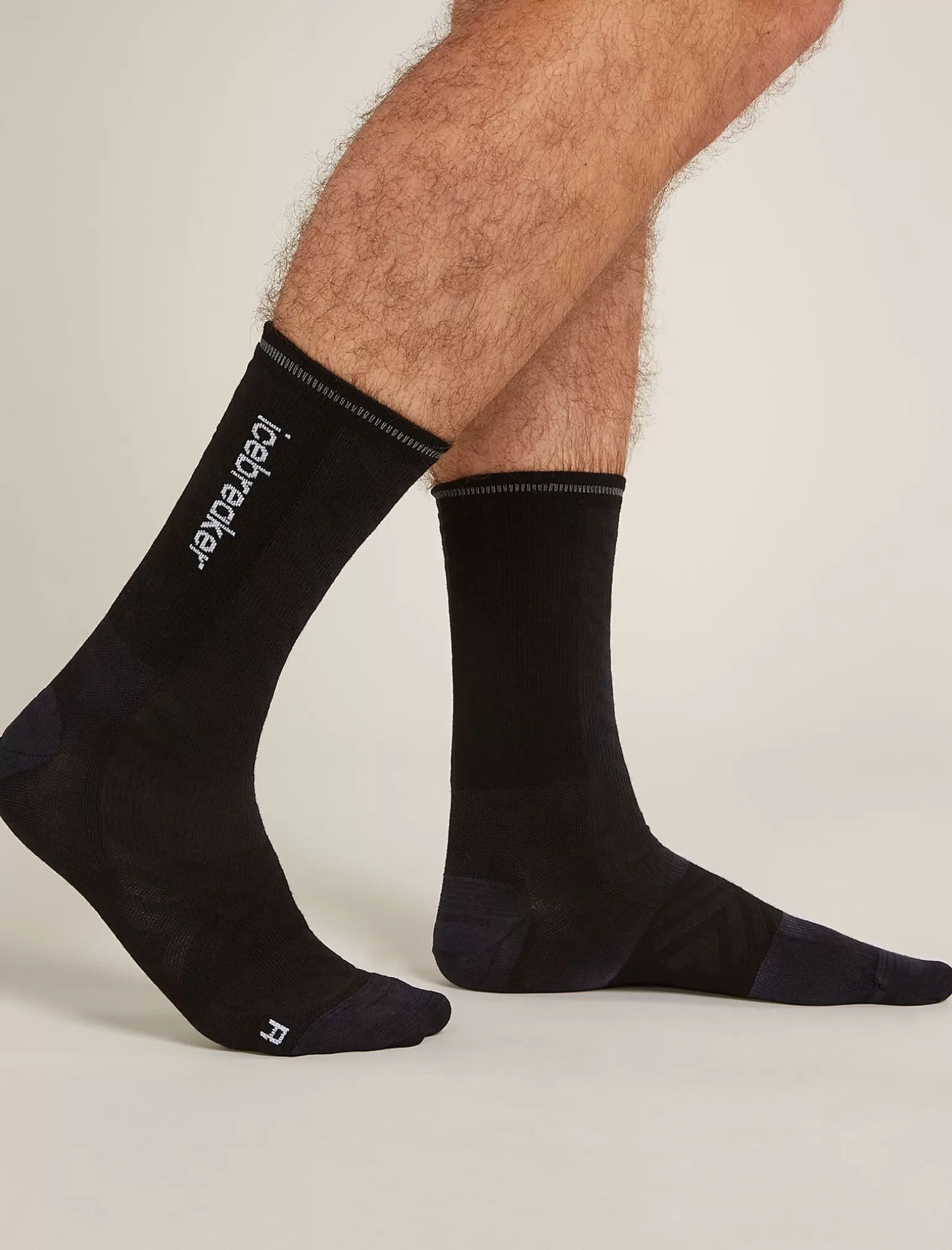 Icebreaker Men's Merino Blend Run+ Ultralight Crew Socks Cloud Dye