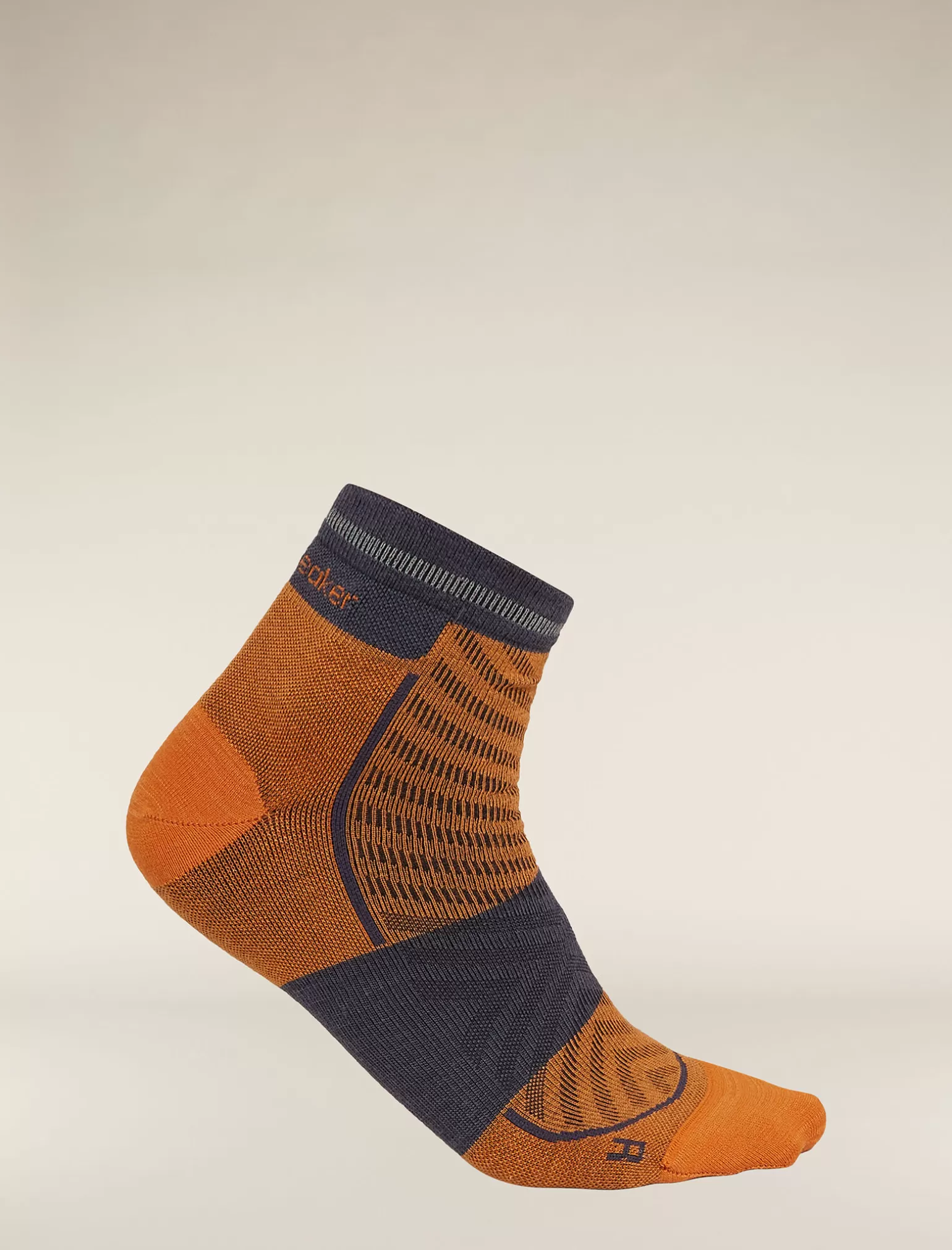 Icebreaker Men's Merino Blend Run+ Ultralight Mini Socks