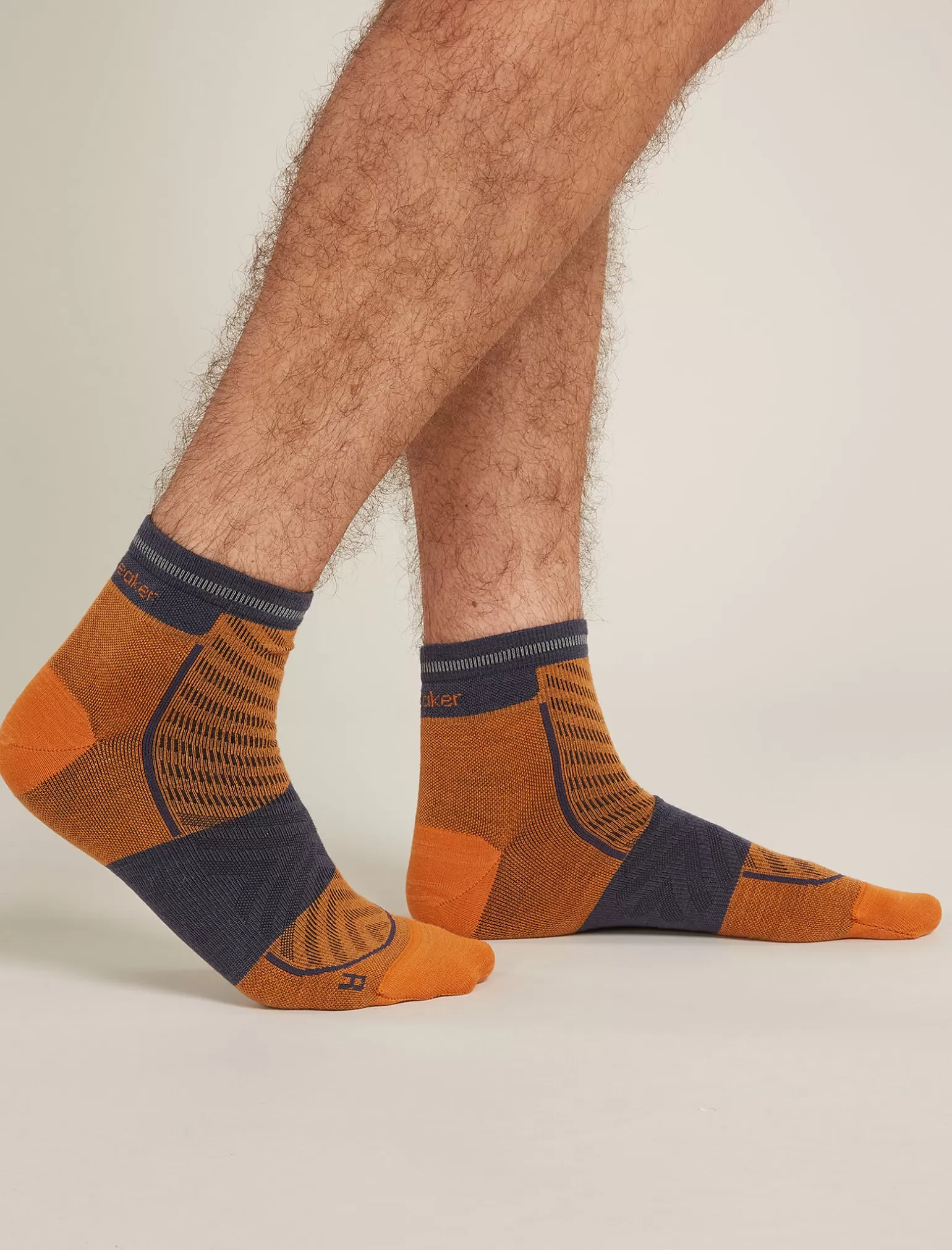 Icebreaker Men's Merino Blend Run+ Ultralight Mini Socks