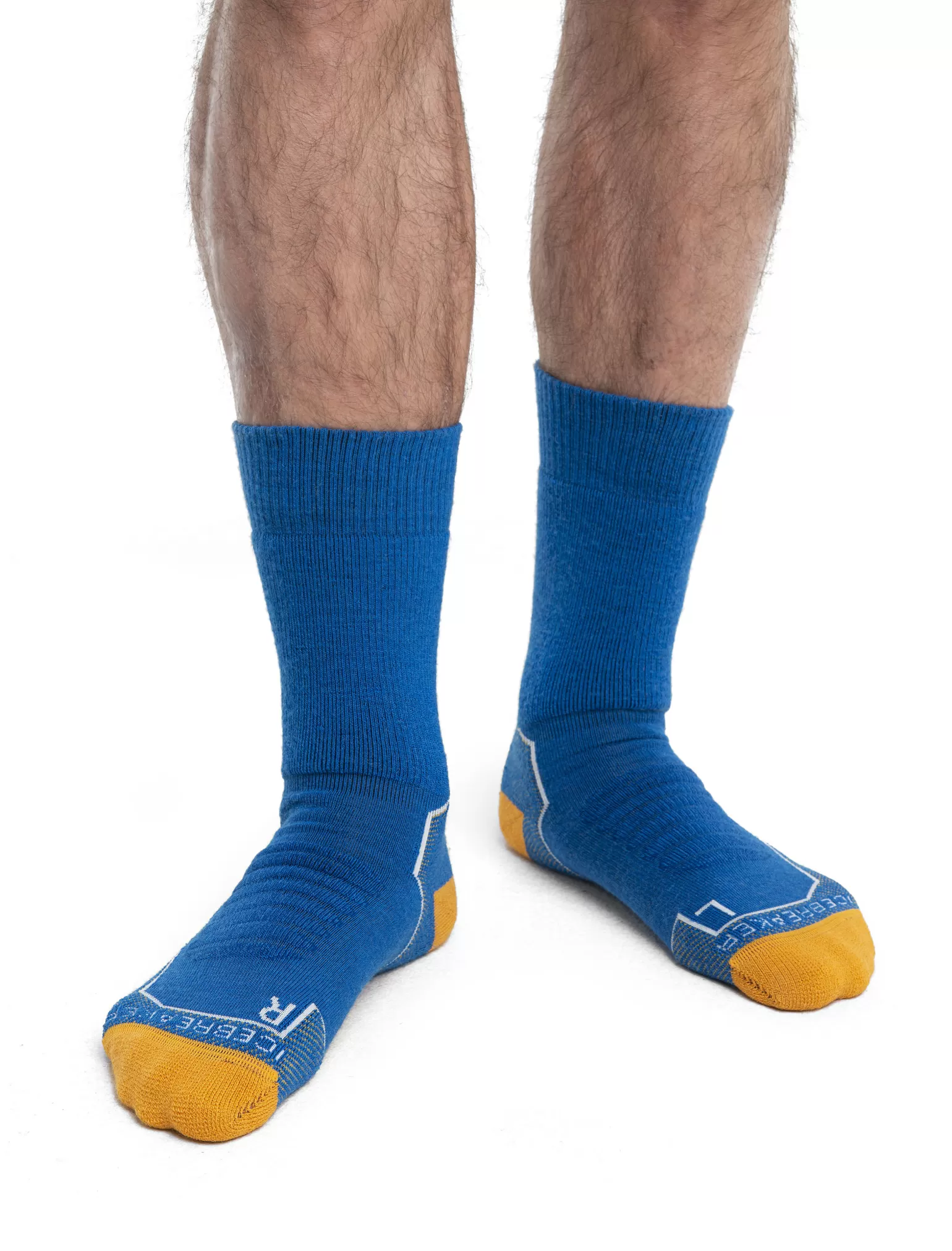 Icebreaker Men's Merino Hike+ Heavy Crew Socks