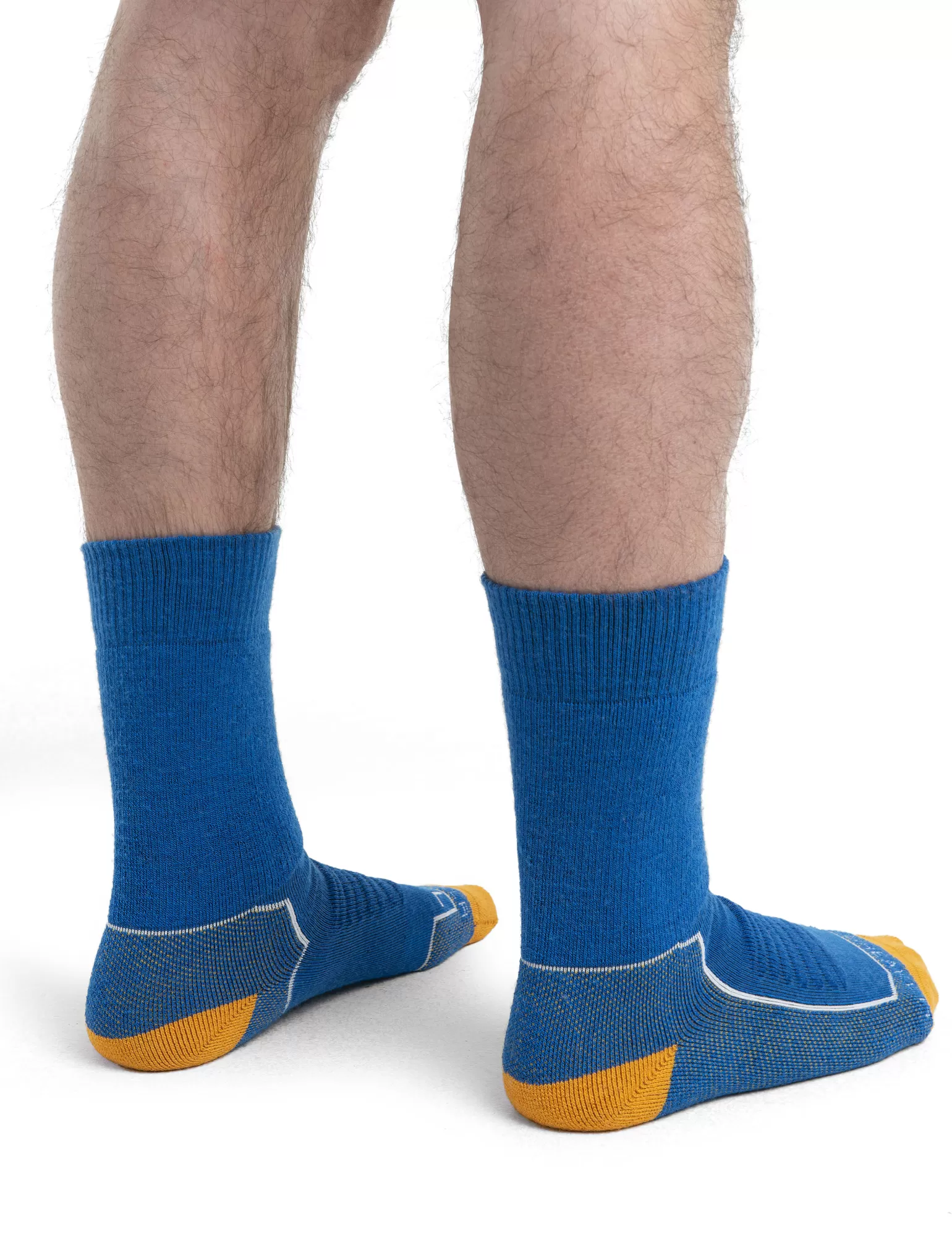 Icebreaker Men's Merino Hike+ Heavy Crew Socks