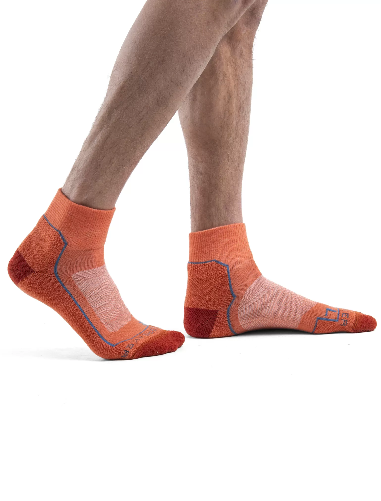 Icebreaker Men's Merino Hike+ Light Mini Socks