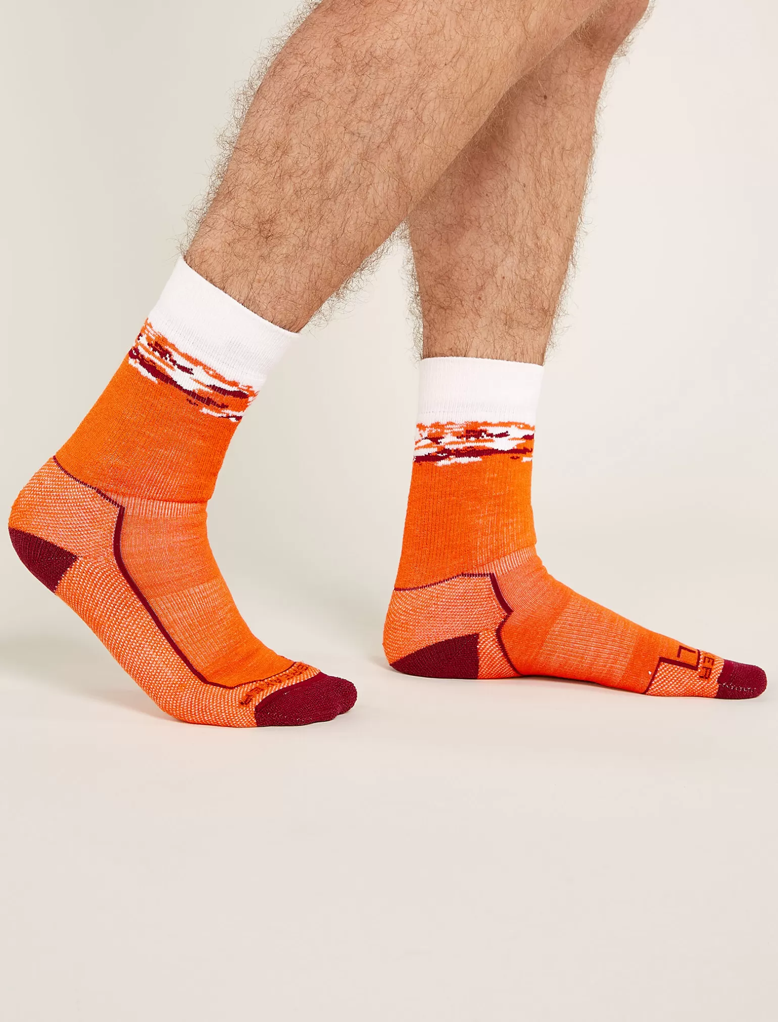 Icebreaker Men's Merino Hike+ Medium Crew Sedimentary Socks