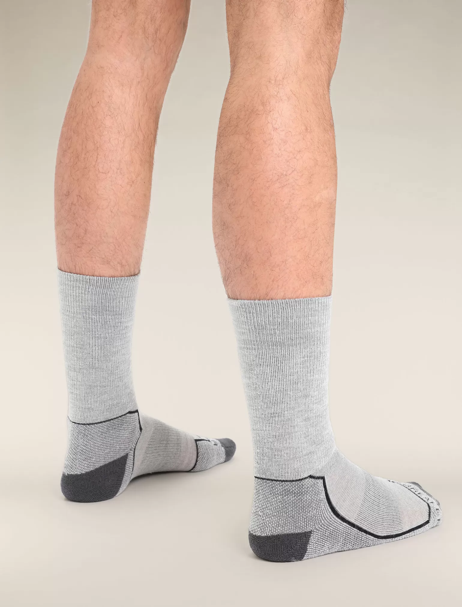 Icebreaker Men's Merino Hike+ Medium Crew Socks