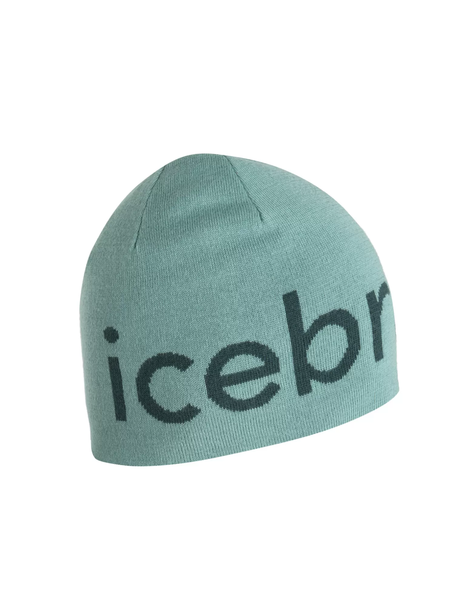 Women Icebreaker Unisex Merino Beanie