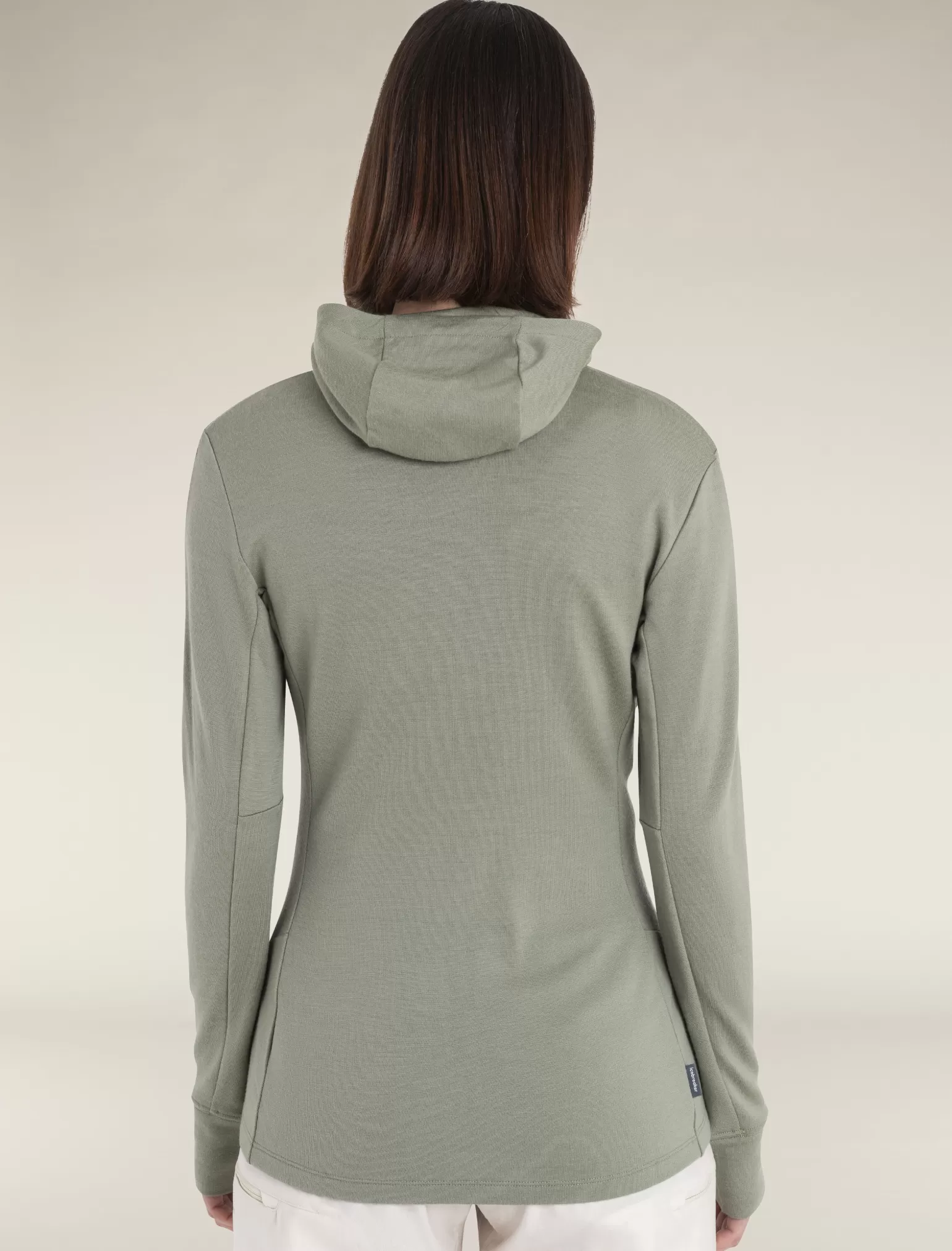 Women Icebreaker Women's Merino 260 Quantum Long Sleeve Zip Hoodie