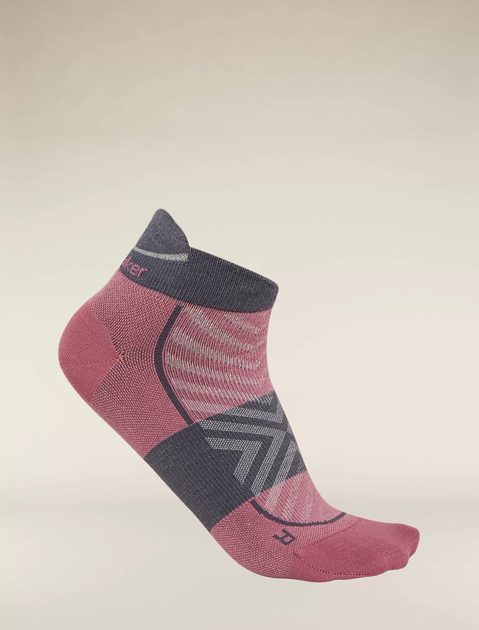 Women Icebreaker Women's Merino Run+ Ultralight Micro Socks